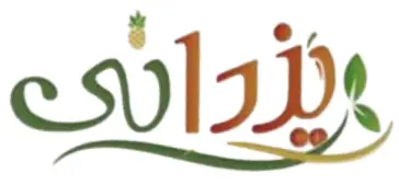 یزدانی